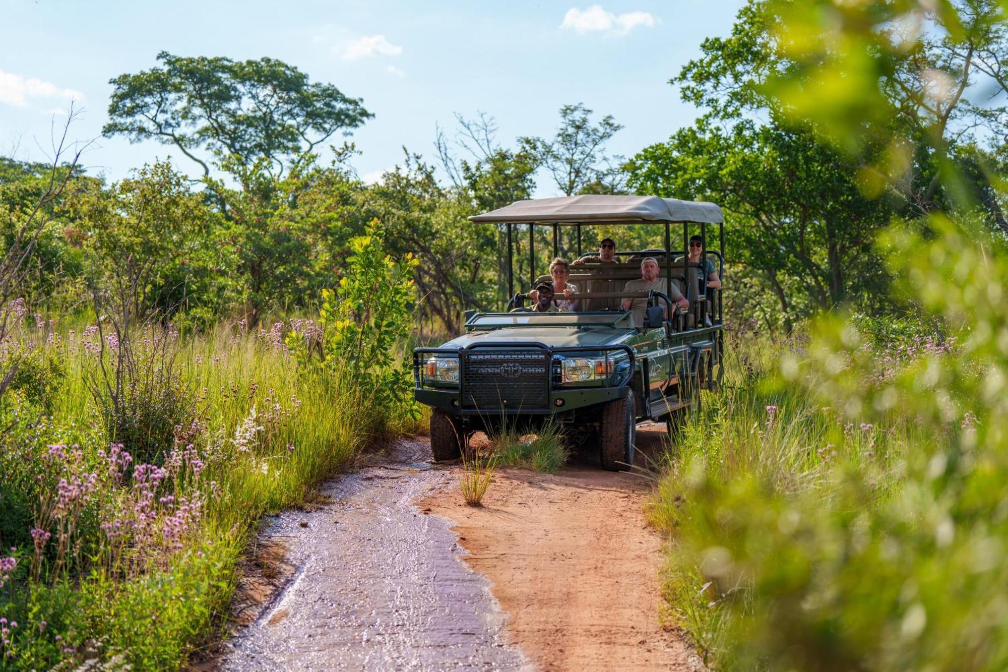 Sediba Luxury Safari Lodge 벨게본든 수렵 금지 구역 외부 사진